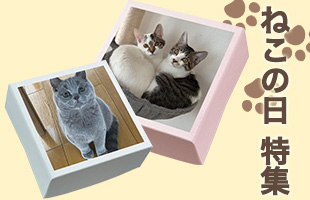猫の日