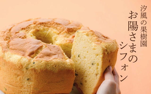 お陽さまのシフォン