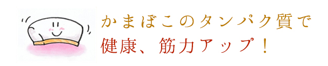 かまぼこのタンパク質で健康、筋力アップ！