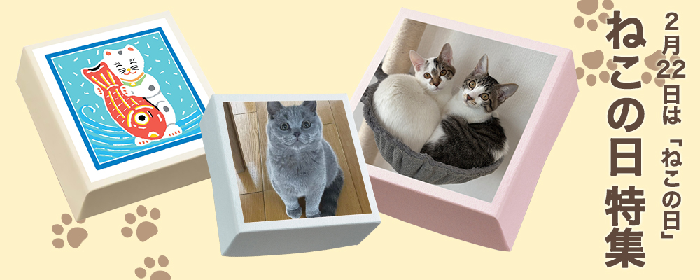 猫の日特集