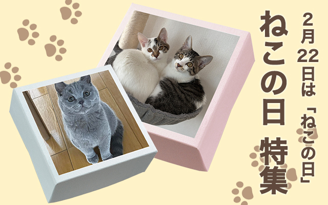 猫の日特集