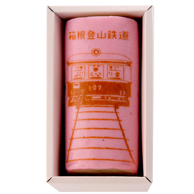 箱根登山電車107front